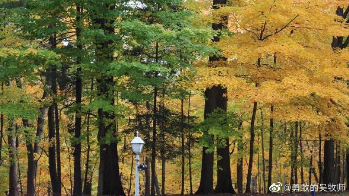 wb自助下单24小时平台